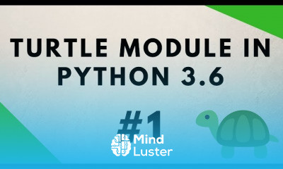 Python Module Graphics