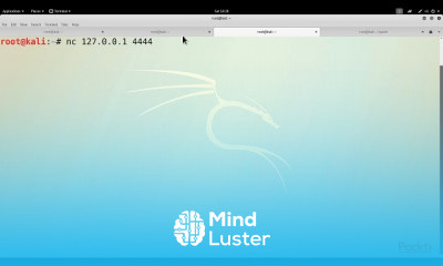 Basic and Python Network Attacks