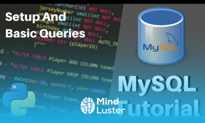 Python MySQL Programming