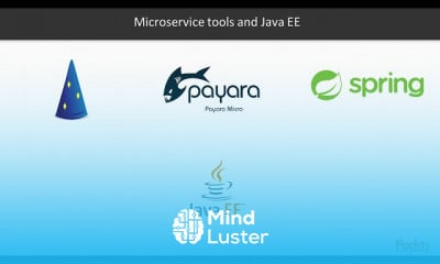 Java EE 8 Microservices