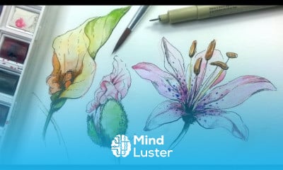 Watercolor with Pen Ink