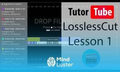 LosslessCut