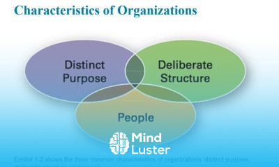 Principles of Management