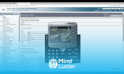 Medium to Large Enterprise MLE