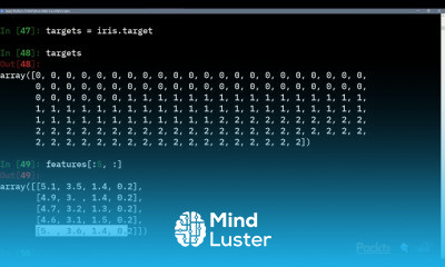 Python From zero to hero