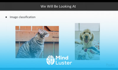 Python Machine Learning in 7 Days