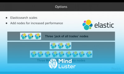 Mastering ElasticSearch and Elastic Stack