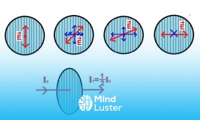 Physics 53 Polarization