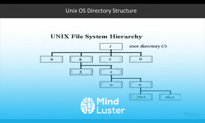 Hands On Data and Hadoop 3