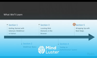 Selenium WebDriver Testing in Python