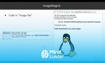 Binary Exploits with Python