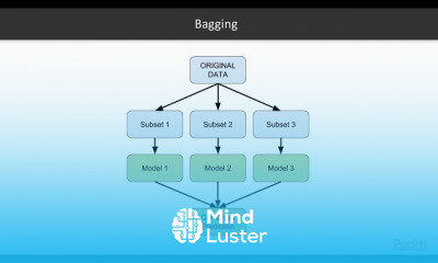 Ensemble Machine Learning Techniques