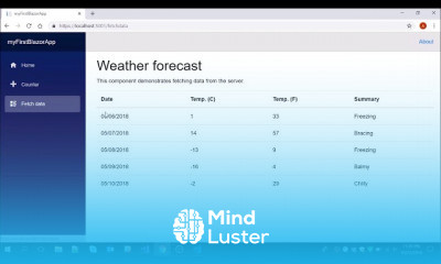 Blazor Quick Start Guide