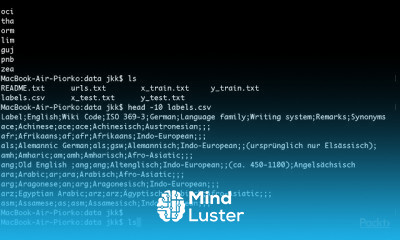 Deep Learning Adventures with PyTorch