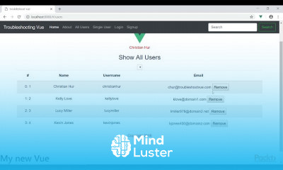 Troubleshooting Vue js