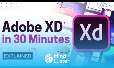 Adobe XD Design for Beginners