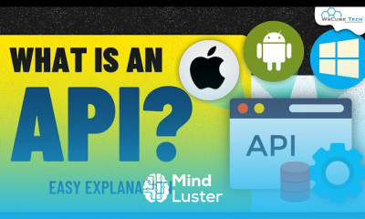 Laravel API Development