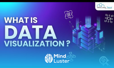 Python Seaborn for Beginner to Advanced Community - Mind Luster
