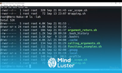 Linux Shell Scripting Automating Command