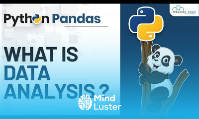 pandas data analysis