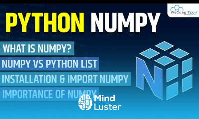 np Python for Beginner to Advanced