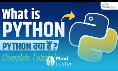 Python Programming Mastery for Beginner