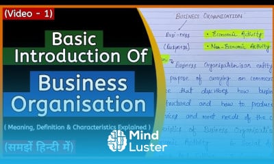 Business Organisation basics