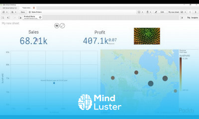 Qlik Sense Dashboard Development