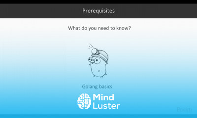 Go Application Development and Techniques