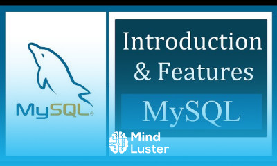 mysql db basics for Beginners