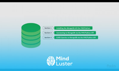 Programmatic Access to MongoDB
