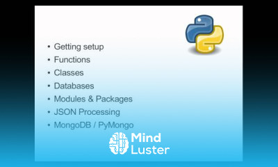Python Database Programming