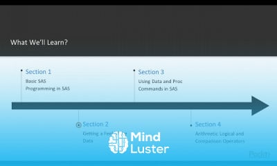 SAS Programming in 7 Steps Programming