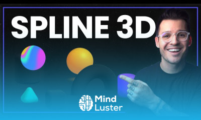 Spline 3D Techniques