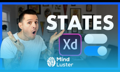 Adobe XD skills for Beginners