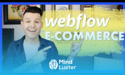 Webflow for Business Websites