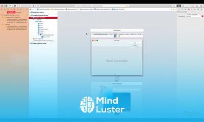 Professional macOS Programming