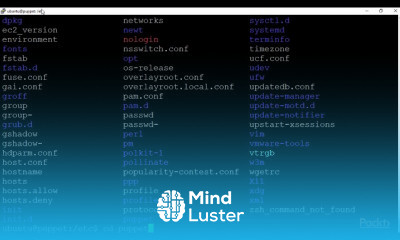 Puppet 6 Programming