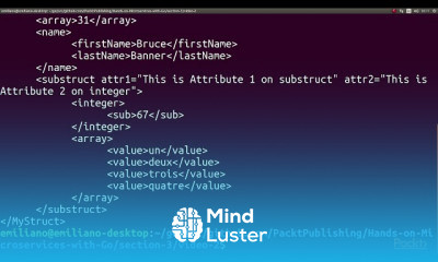 Hands On Microservices with Go