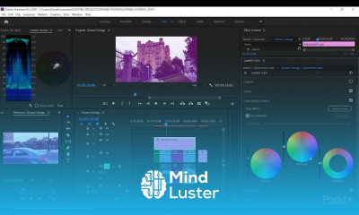 Mastering Adobe Premiere Pro CC