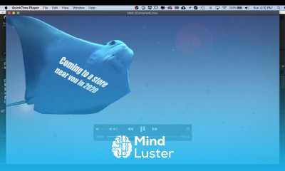 Getting Started with Adobe After Effects CC