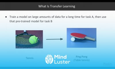 Transfer Learning with TensorFlow 2 0
