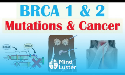 Colon Cancer Fundamentals