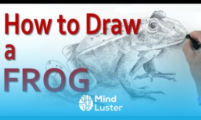 Animal Drawing Fundamentals