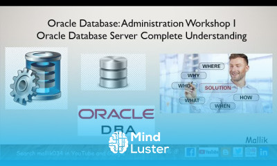 Oracle Database Server