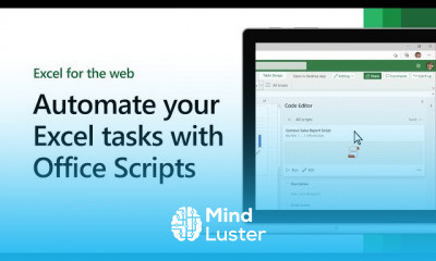 Office Scripts Programming