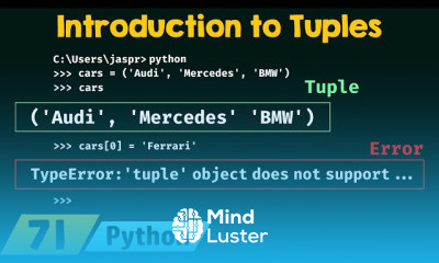 Python Tuples Fundamentals