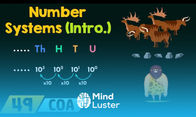 types of number System