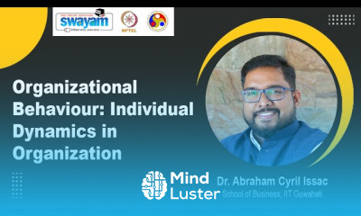 Individual Dynamics in Organization