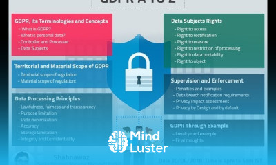 Data Privacy Primary Roles